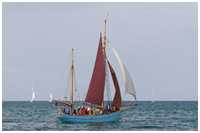 Hanse Sail 2019