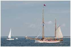 Hanse Sail 2015