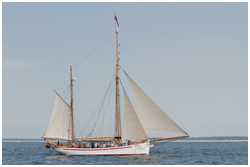Hanse Sail 2015