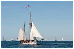 Hanse Sail 2015
