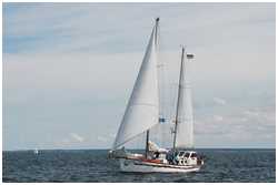 Hanse Sail 2012