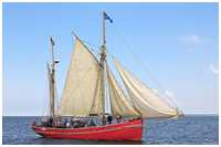 Hanse Sail 2006