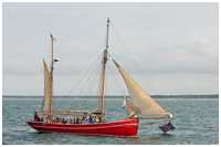 Hanse Sail 2010