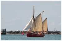 Hanse Sail 2012