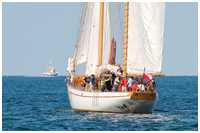 Hanse Sail 2013