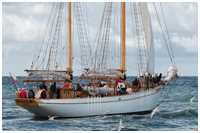 Hanse Sail 2016