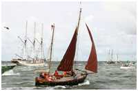 Hanse Sail 2005