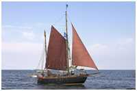 Hanse Sail 2006