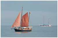 Hanse Sail 2011