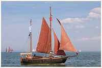 Hanse Sail 2008
