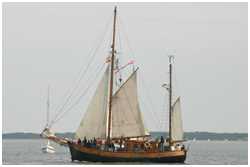 Hanse Sail 2005