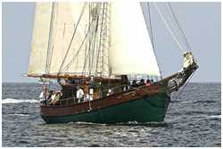 Hanse Sail 2006