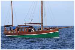 Hanse Sail 2017