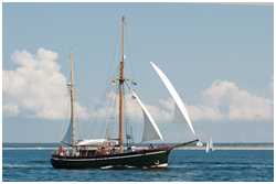Hanse Sail 2014