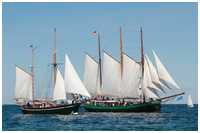 Hanse Sail 2015