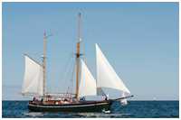 Hanse Sail 2015