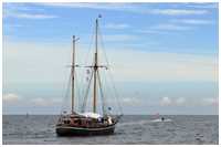 Hanse Sail 2017