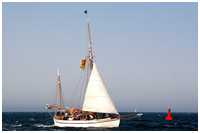 Hanse Sail 2007
