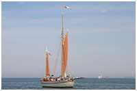 Hanse Sail 2008