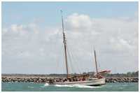 Hanse Sail 2008
