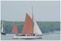 Rumregatta 2012