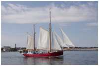 Heringslogger Ryvar