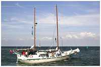 Hanse Sail 2006
