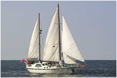 Holland-Klipper Sabia