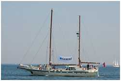 Hanse Sail 2008