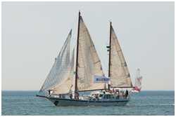 Hanse Sail 2008
