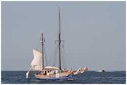 Hanse Sail 2014