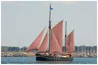 Hanse Sail 2008