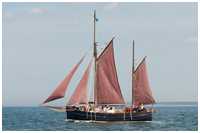 Hanse Sail 2008