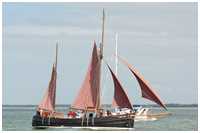 Hanse Sail 2008