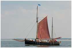 Hanse Sail 2010