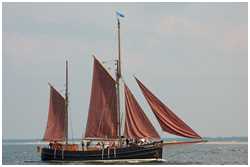 Hanse Sail 2010