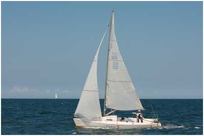 J/80