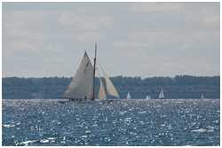 Hanse Sail 2012