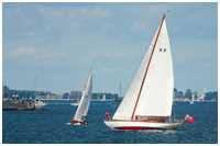 Seefahrtkreuzer Flamingo