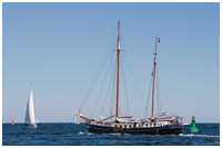 Hanse Sail 2015
