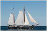 Hanse Sail 2015