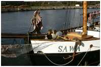 Gaffelkutter Sawa