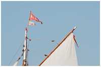 Hanse Sail 2014