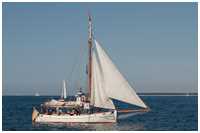 Hanse Sail 2014