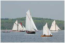 Rumregatta 2012