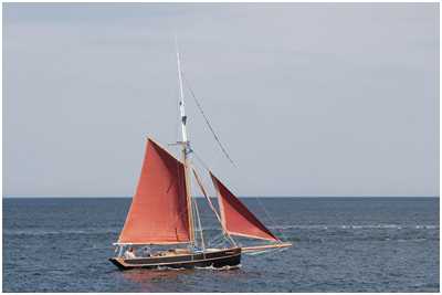 Cornish Crabber Betty