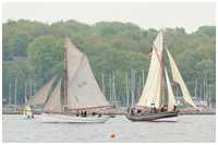 Rumregatta 2012