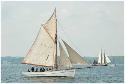 Haikutter Charlotte