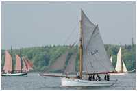 Rumregatta 2012
