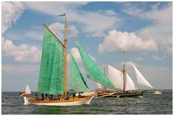 Hanse Sail 2009